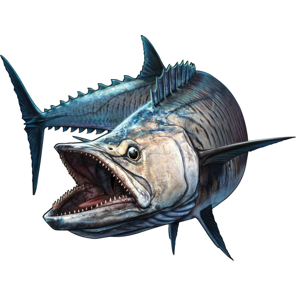 Bass Fishing Lure - Köpekbalığı Balık Balıkçı Teknesi Çubuk Tampon