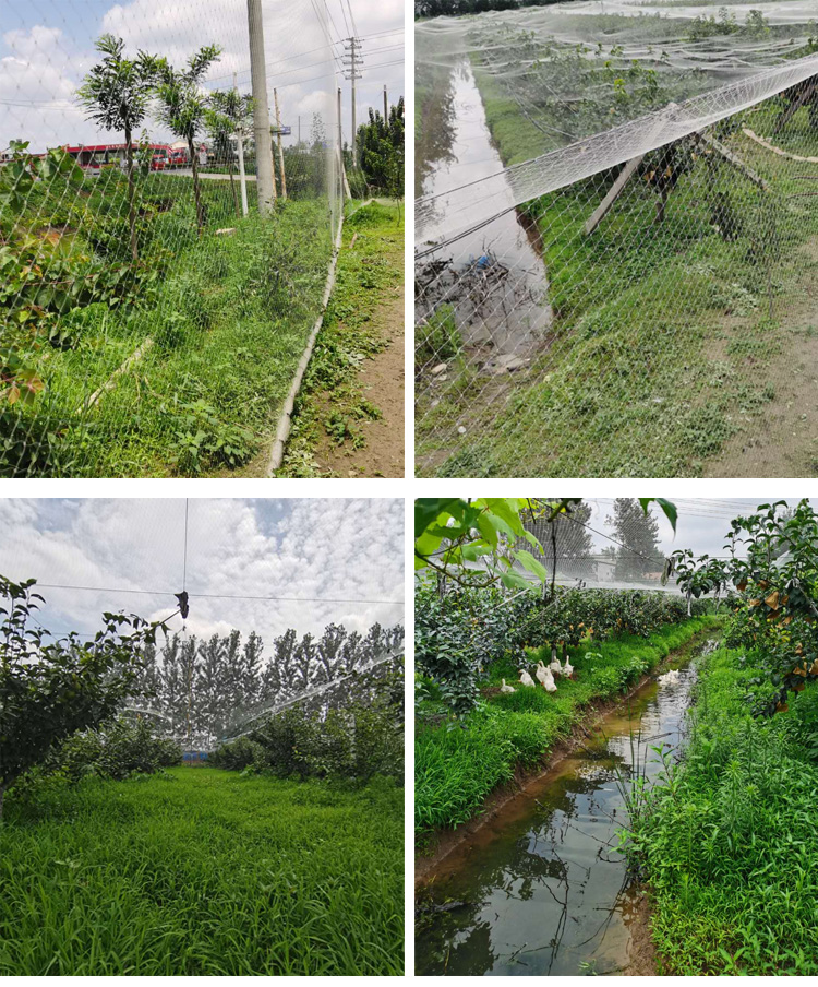 Ağır Hizmet Tipi Naylon Ağ, Dü - Fishing Equipment Net incelemesi ve fiyatı