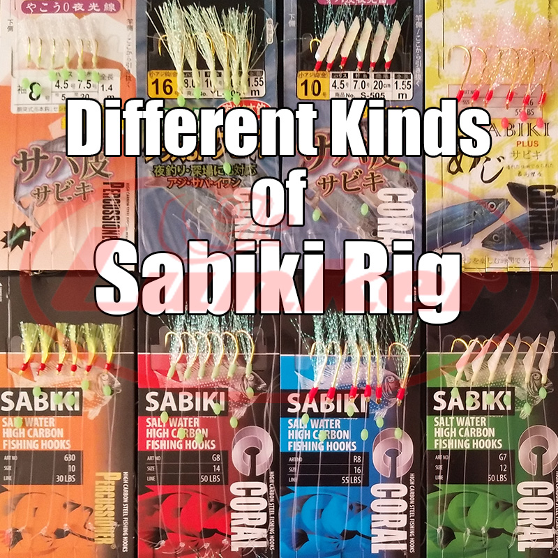 Lunker sabiki teçhizat kancala - Fishing Equipment Deals incelemesi ve fiyatı